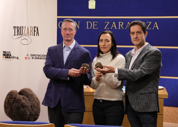 La Trufa Negra de la provincia llega a Zaragoza en la Tercera Muestra especializada que se celebra, este fin de semana, en el Palacio de Sástago