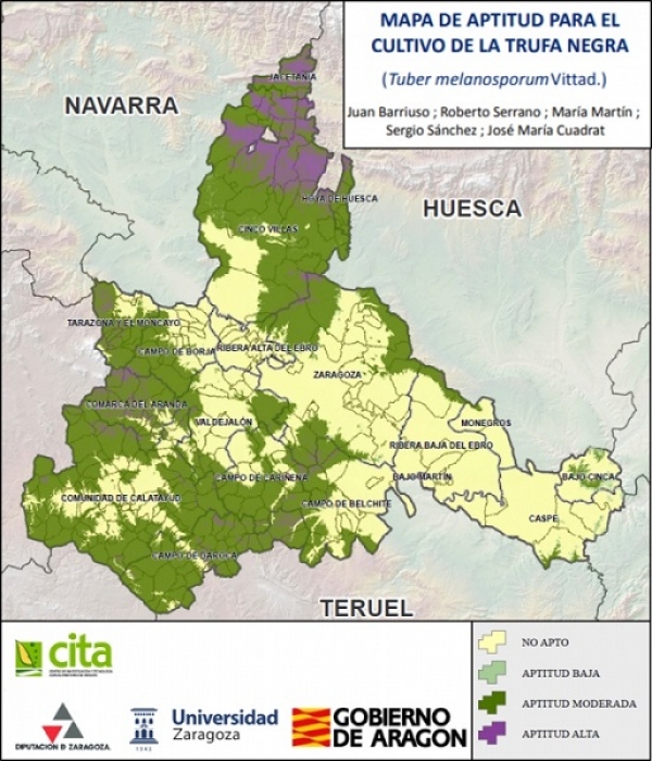 La trufa en Aragón